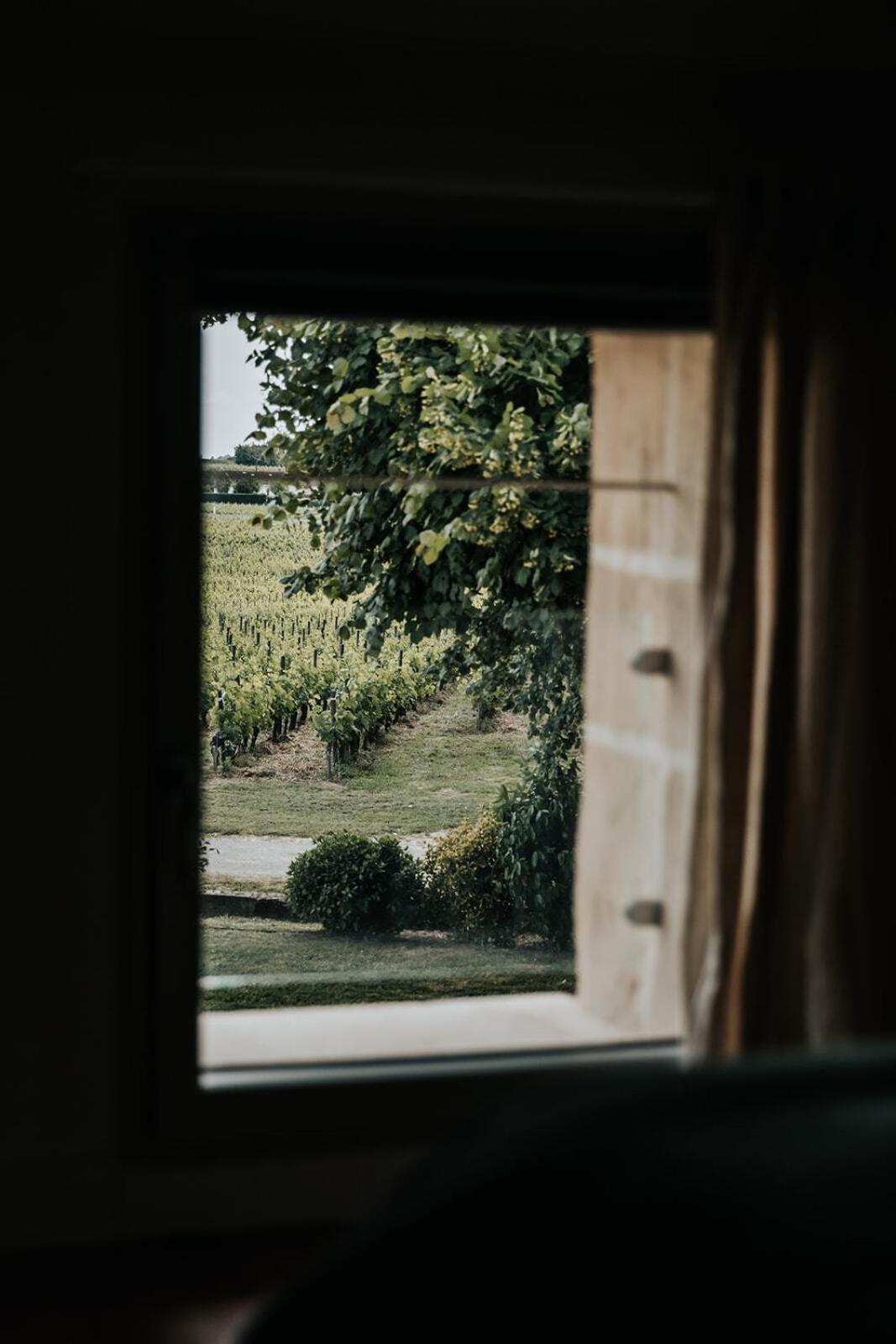 Château La Grande Clotte Lussac  Cameră foto